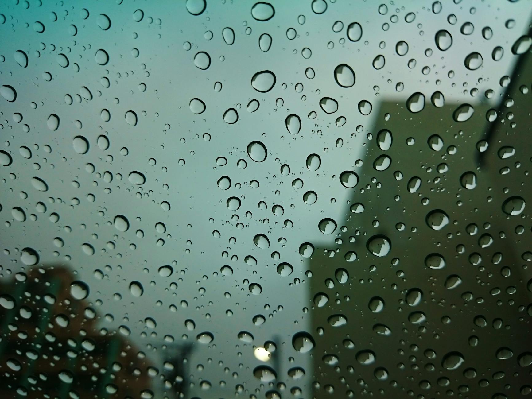 macro photography of water droplets