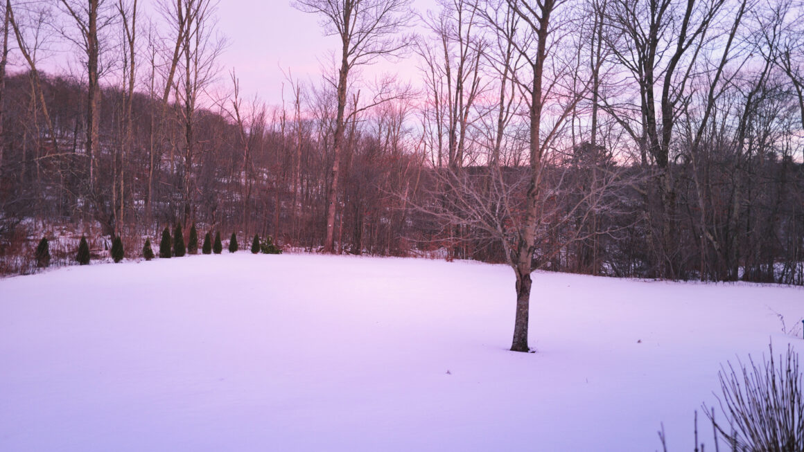 Under a Cotton Candy Sky January 27. 2025 by Amelia Phoenix Desertsong