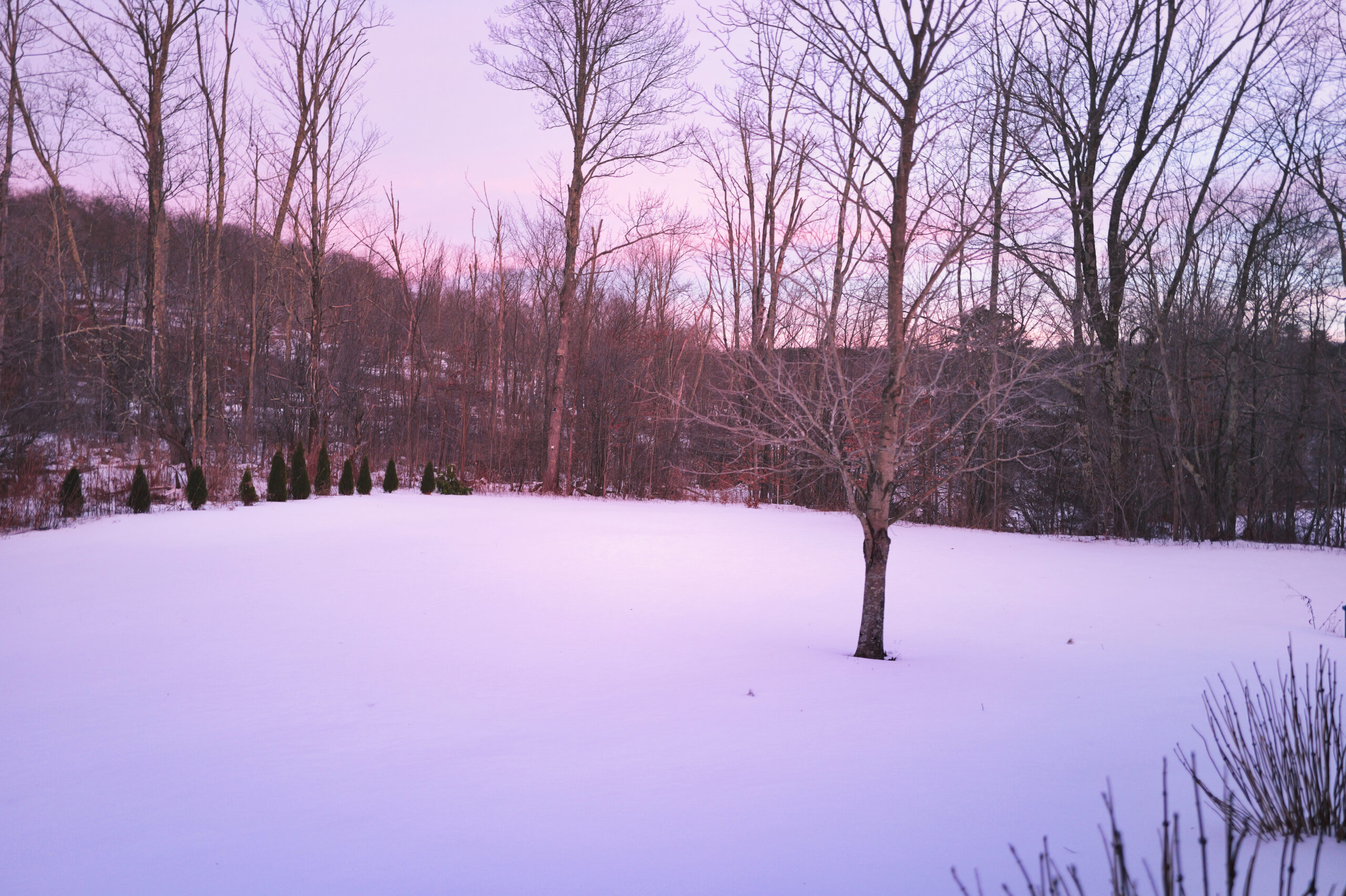 Under a Cotton Candy Sky January 27. 2025 by Amelia Phoenix Desertsong