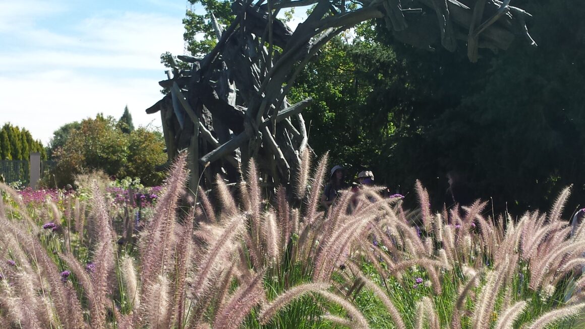 Denver Botanical Gardens Free Day, September 2016 (Photos)